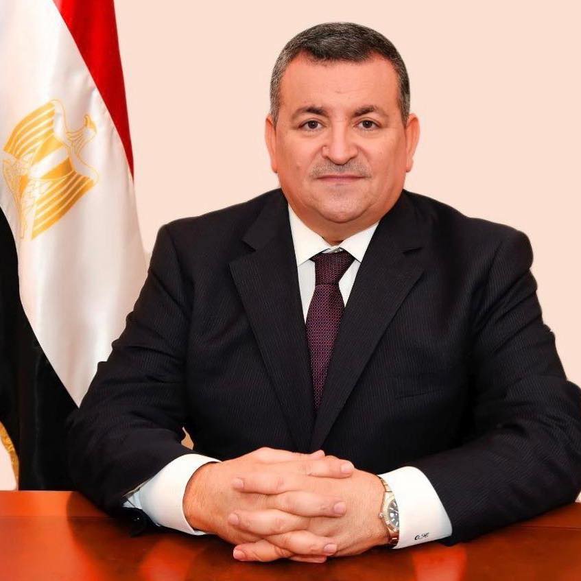 الأستاذ/ أسامة هيكل